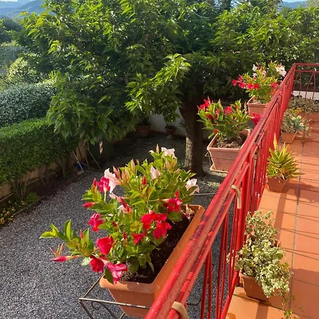 Hébergement de vacances Casa Mary Lucques