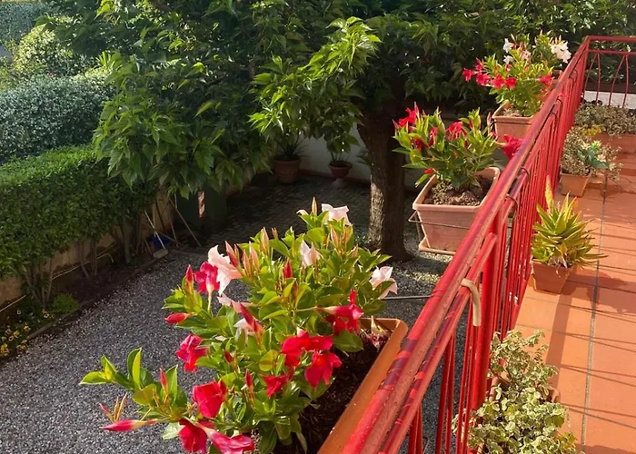 別荘 Casa Mary ルッカ